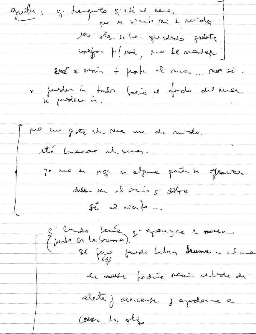 Imagen 1. Extracto de la página 25 del cuaderno-diario escrito en el año 2000 por Guille, unas de las actrices de El Brote.