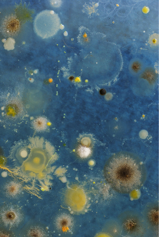 Imagen 3. (Luciana Paoletti, 2010-actualidad) &ldquo;Eugenia&rdquo;, Serie Retratos.