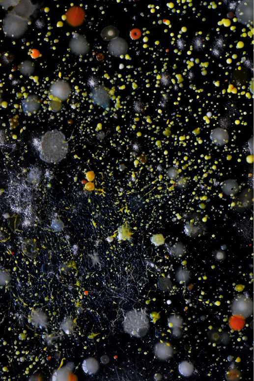 Imagen 4. (Luciana Paoletti, 2010-actualidad) &ldquo;Autoretrato&rdquo;, Serie Retratos.