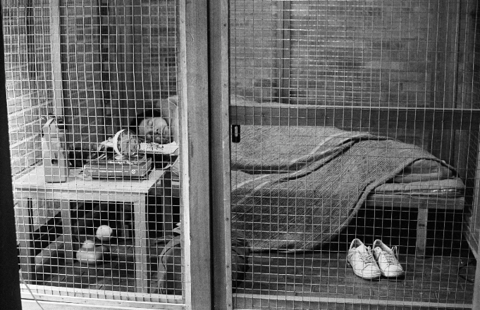 Imagen 5. Trampa. (Fernando Cepeda, 1980). VI Saln Atenas, Museo de Arte Moderno, Bogot. Fotografa de Oscar Monsalve (Bogot, 1980).