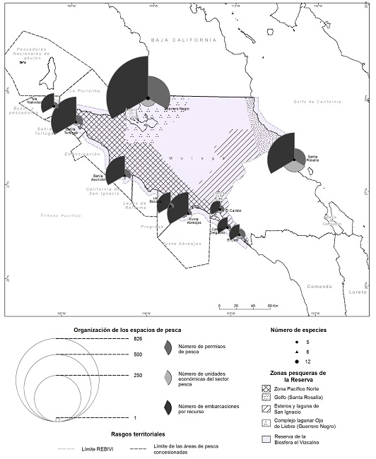 DISTRIBUCI&Oacute;N Y ORGANIZACI&Oacute;N DE LOS ESPACIOS DE PESCA COMERCIAL
							RIBERE&Ntilde;A EN LAS RESERVAS DE LA BIOSFERA EL VIZCA&Iacute;NO Y OJO DE
							LIEBRE