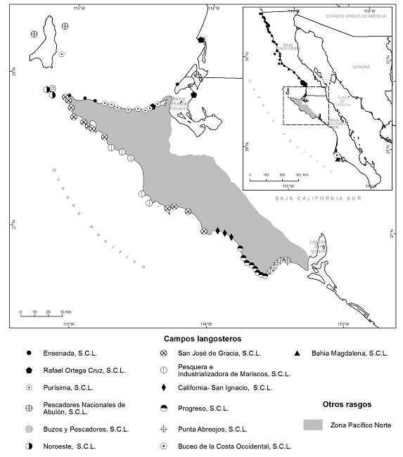 LOCALIZACI&Oacute;N DE CAMPOS LANGOSTEROS EN LA ZONA PAC&Iacute;FICO NORTE DEL
							ESTADO DE BAJA CALIFORNIA SUR (M&Eacute;XICO) EN LA TEMPORADA 1956-1957