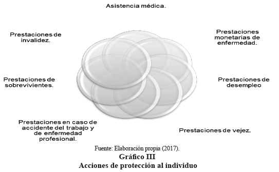 Gráfico III 

 Acciones
de protección al individuo