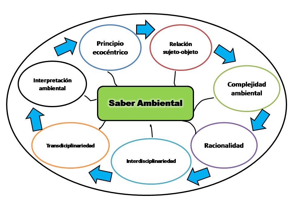 Figura I Visi&oacute;n interpretativa del saber ambiental a partir de sus elementos estructurales