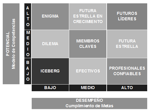 Matriz Nine Box