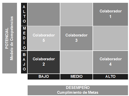 Ubicaci&oacute;n de los colaboradores en la matriz Nine Box