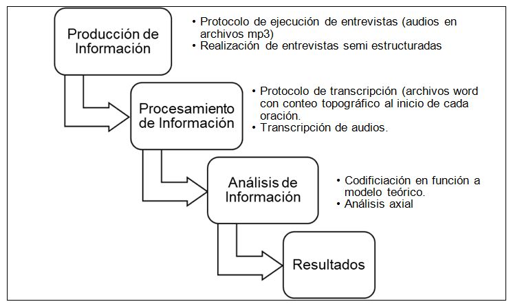 Etapas de la investigaci&oacute;n