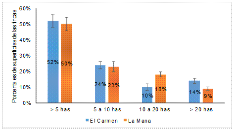 Distribuci�n de las fincas seg�n la superficie de productores de mus�ceas en las zonas El Carmen y La Man�