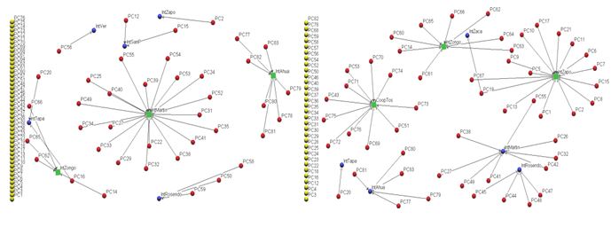 Modelo de comercializaci�n de caf� cereza y pergamino de la Cooperativa