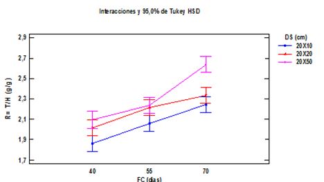 Efecto de la interacci�n frecuencia de corte por distancia de siembra sobre la relaci�n tallo/hoja