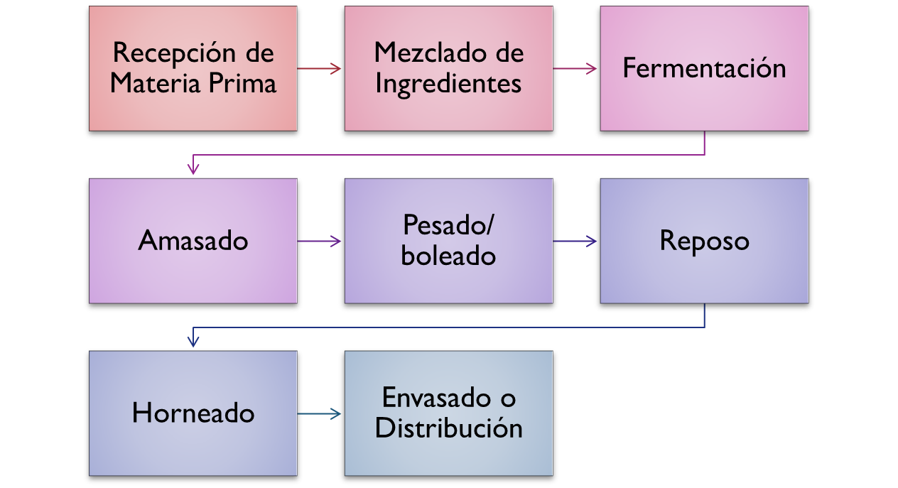 Proceso productivo del pan