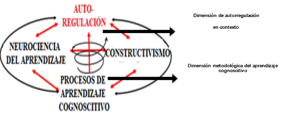 Dinmica del proceso de aprendizaje cognoscitivo para el desarrollo de la autorregulacin en contexto