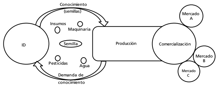 Sistema triguero del valle del Yaqui.
