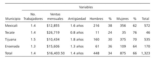 Caracter&iacute;sticas de las microempresas