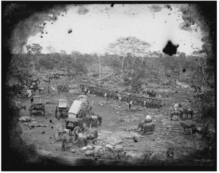 Tropas y carretas del general Bravo en un escampado. (Fuente: Fototeca Guerra,
UADY).