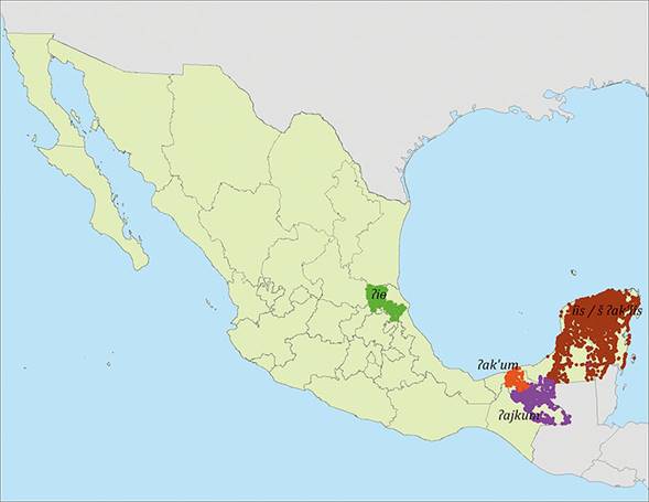 Distribución de los términos para 'camote' entre ch'oles, chontales, yucatecos y huastecos. Mapa: Oscar Zamora.