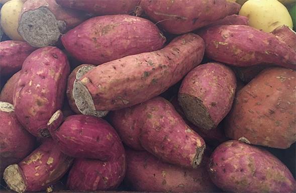 Ipomoea batatas (tubérculo) en el mercado de Valladolid, Yucatán.