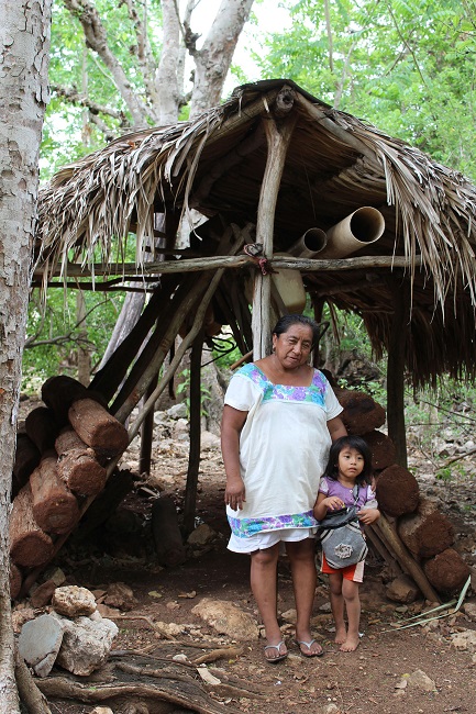 Meliponario y meliponicultora con su nieta en Pucnach&eacute;n, Campeche.