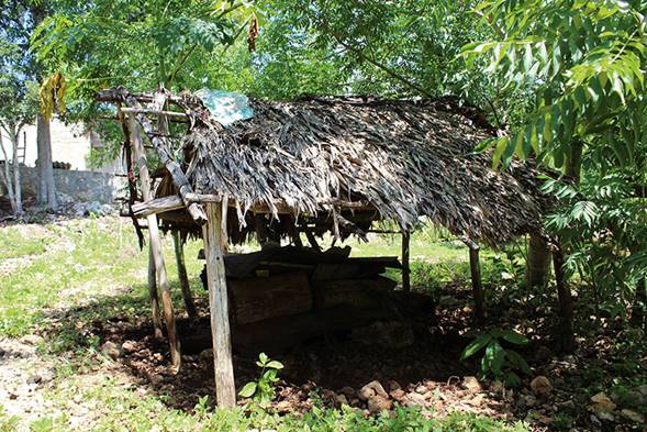 Meliponario abandonado en Concepci&oacute;n, Campeche.