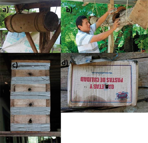 Tipos de colmenas. a) Tronco, b) Tronco modificado, c) Caja, d) Caja de cart&oacute;n. Fotograf&iacute;as de Adriana Tapia Hern&aacute;ndez (a), Juan Jos&eacute; C&aacute;mara Moguel (b) y Guelmy Anil&uacute; Chan Mutul (c y d).