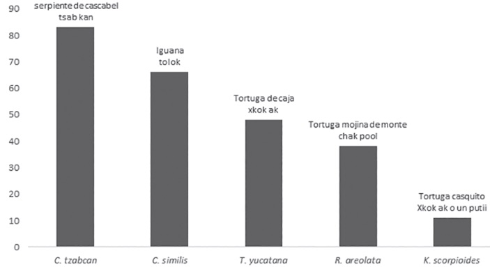 Especies más mencionadas por los pobladores de la comunidad maya de
							Santa Elena, Yucatán, México.