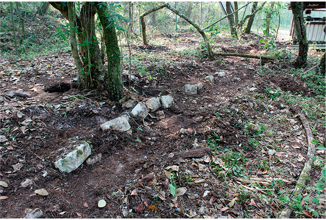 Structure 51, a long, L-shaped structure along the southern edge of Plaza F-West.