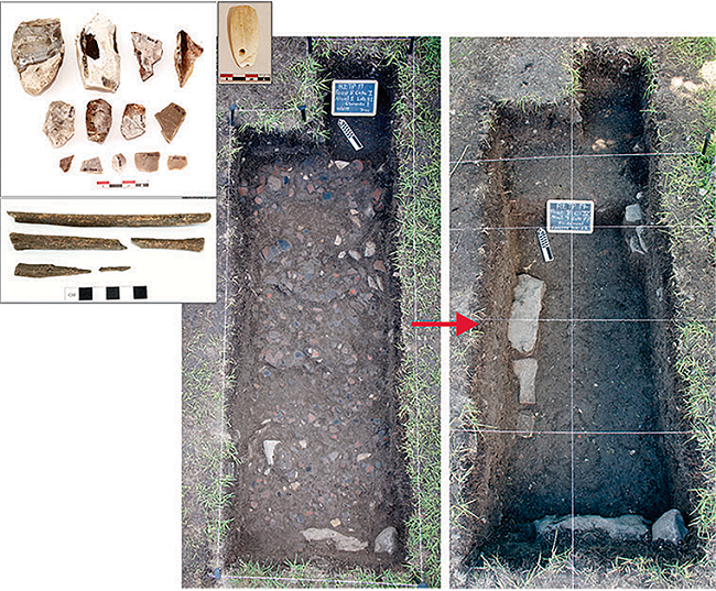 Pozo 8, showing a thick sheet midden of smashed ceramics, together with selected
							artifacts: chert artifacts, an olive shell tinkler, and fragments of a
							white-tailed deer metatarsal. Below the midden, Layer 4 included large
							limestone blocks, possibly the remnants of a masonry-faced
							platform.