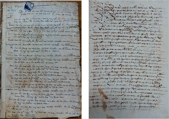 a) Documento en lengua chiapaneca; b) interrogatorio del caso.