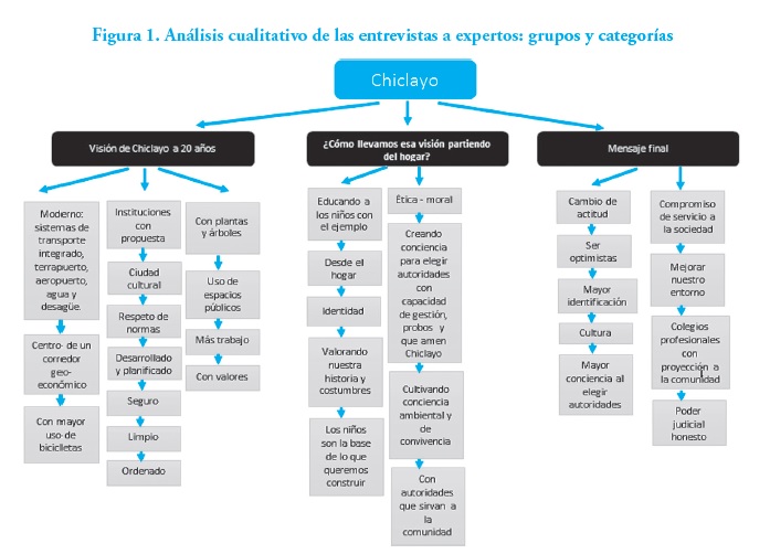 Análisis cualitativos de las entrevistas a expertos grupos y categorias