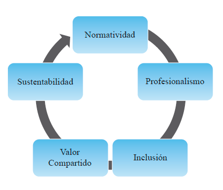 Figura 1. Elementos para la valoración integral de proyectos de emprendimiento social