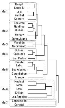 Análisis de equivalencia estructural.