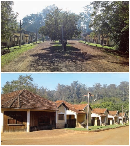 Horto Florestal de Rio Claro, S&atilde;o Paulo, Brasil