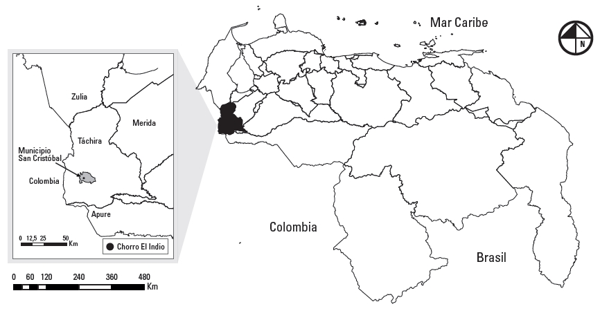 Ubicaci&oacute;n geogr&aacute;fica: a) Estado T&aacute;chira, Venezuela;
b) Municipio San Crist&oacute;bal y del &aacute;rea Chorro El Indio