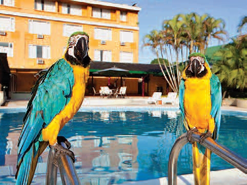 Piscina del Hotel Anaconda, Leticia