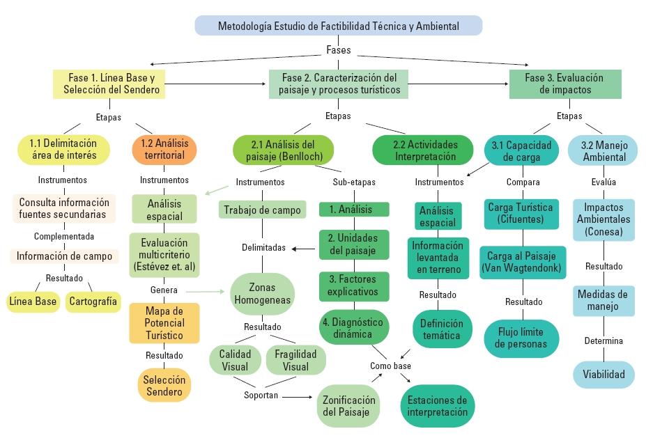 Proceso metodológico