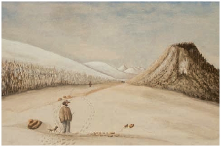 Mesa de Herveo (volcán
nevado del Ruiz y cráter de la Olleta). Provincia de Córdoba