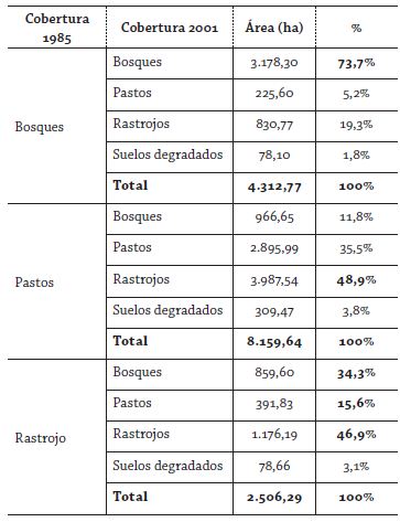 Dinámica de las coberturas 1985-2001