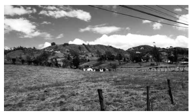 Visión del paisaje agrario en Victoria del Portete en 2016.