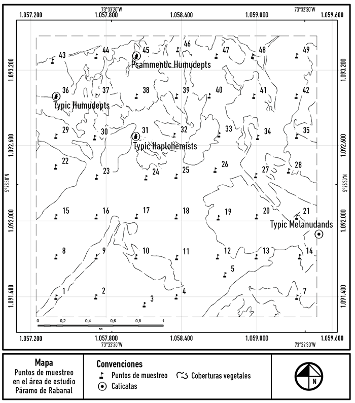 Mapa puntos de muestreo puntual
sistemático y calicatas en el área de estudio.