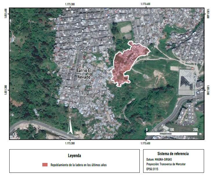 Zona de repoblamiento laderas del sur de Manizales. 