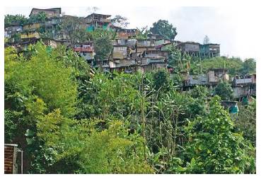 Repoblamiento Barrio El Nevado. Mayo de 2018.