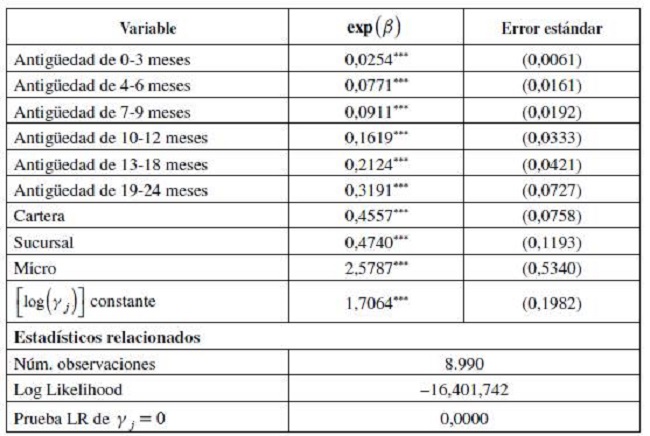 Estimación del modelo de duración con heterogeneidad individual no observada
