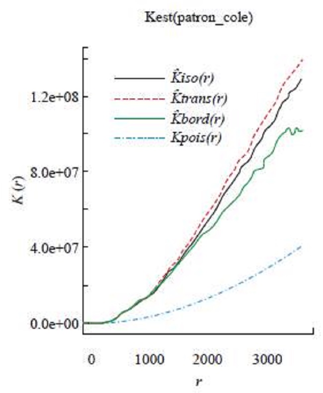 K Function, worst-performing schools (Low scores)