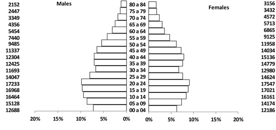 Population structure by age and gender. Manizales, 2005
