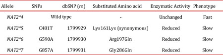  N-acetyltransferase 2 (NAT2) the single nucleotide polymorphisms (SNPs) 