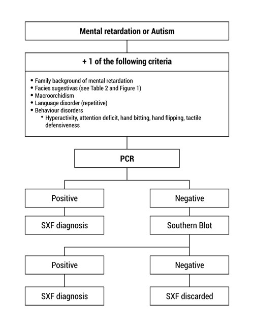  Use of molecular techniques for Fragile X Syndrome (SXF) diagnosis.