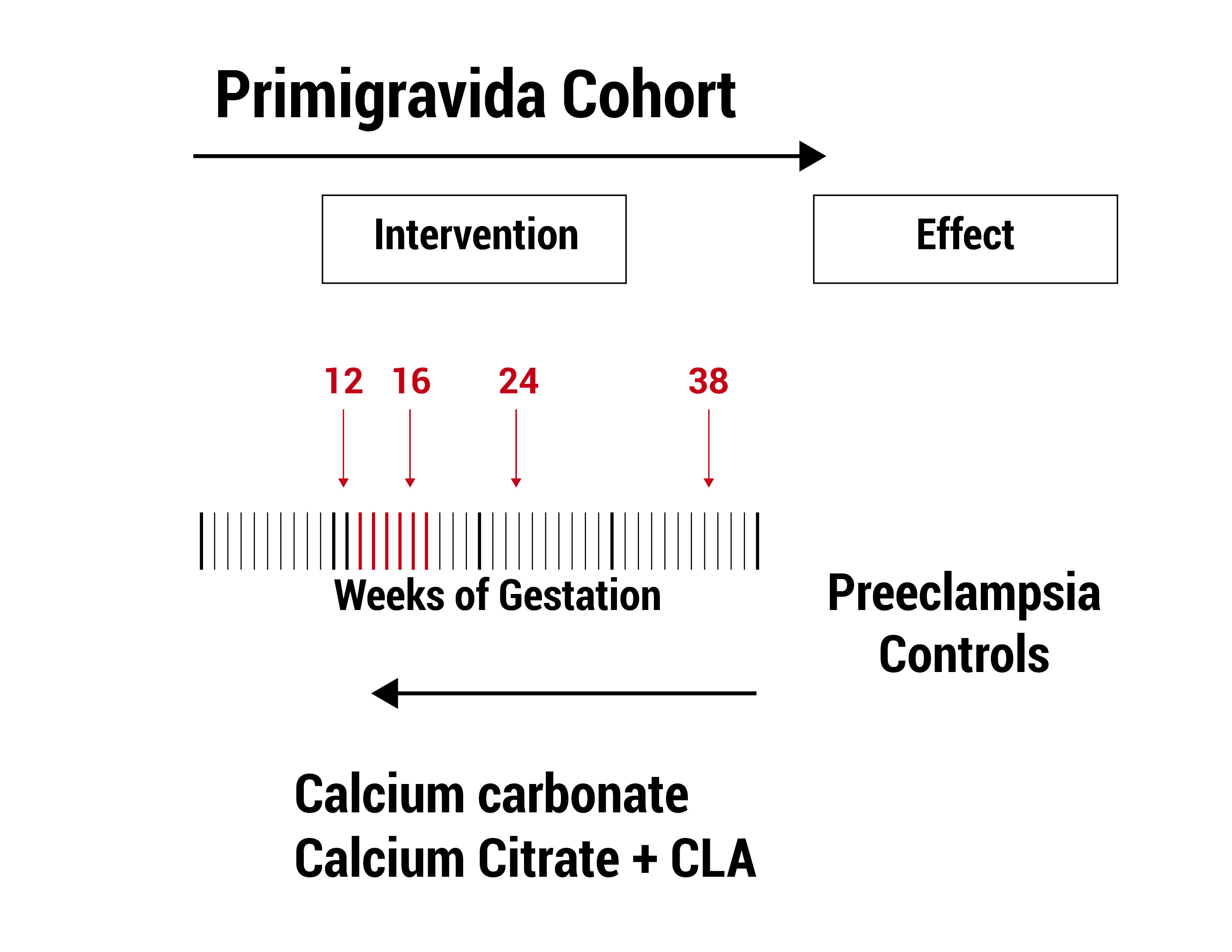  Figure 1. Evaluation of the intervention: from left to right the cohort of pregnant women advances; from right to left the evaluation ask if the effect-preeclampsia- is related or not to the intervention CC or CC+CLA, since week 12-16 of the pregnancy.