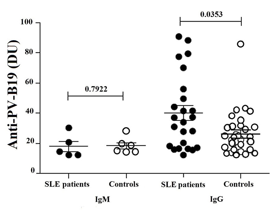 Levels of IgM and IgG anti-PV-B19 in SLE patients (n= 28) and controls (n= 30), analyzed by ELISA as described in Material and methods. Results expressed in DU units are presented in scatter plots and mean with SME (standard mean error). Wilcoxon matched-pairs signed rank test was used to assess the difference of expression among SLE patients and control subject (p <0.05). 