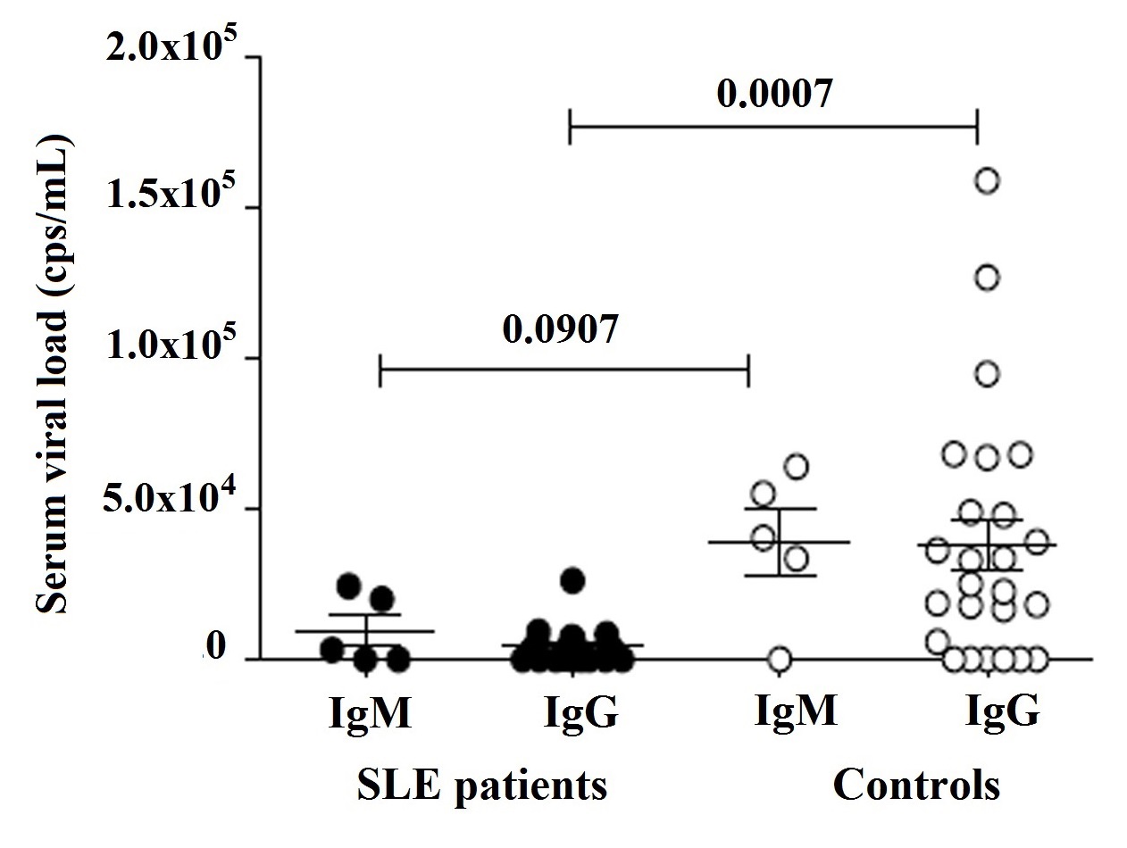 Viral load in serum of SLE patients (28/66) and controls (31/66) with IgM or IgG, analyzed by qPCR as described in Material and methods. Results expressed in copies/mL are presented in scatter plots and mean with SME (standard mean error). Wilcoxon matched-pairs signed rank test was used to assess the difference of expression among SLE patients and control subject (p <0.05).
