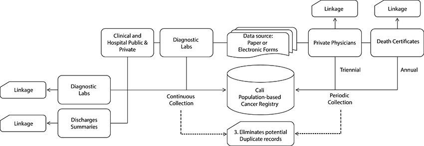 Population Cancer Registry of Cali (RPCC). Procedure to obtain new cases of cancer among permanent residents of the city through active search and notification. Collection is continuous in diagnostic laboratories, hospitals and clinics; public and private. The collection is periodic (annual and three-yearly) in the Municipal Public Health Secretariat (for death certificates), and in the physician office´s. The information is integrated into the database of the RPCC, through individual search or with matching between databases (linkage).